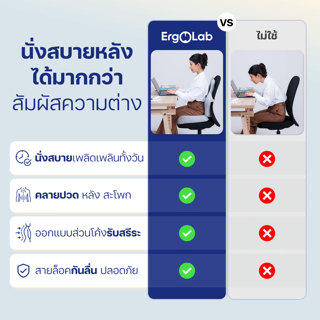 เบาะรองหลัง ERGOLAB 49X45X8 ซม. สีเทา_6